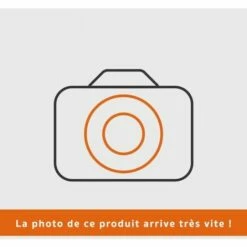 Bobine Allumage Souffleur Homelite